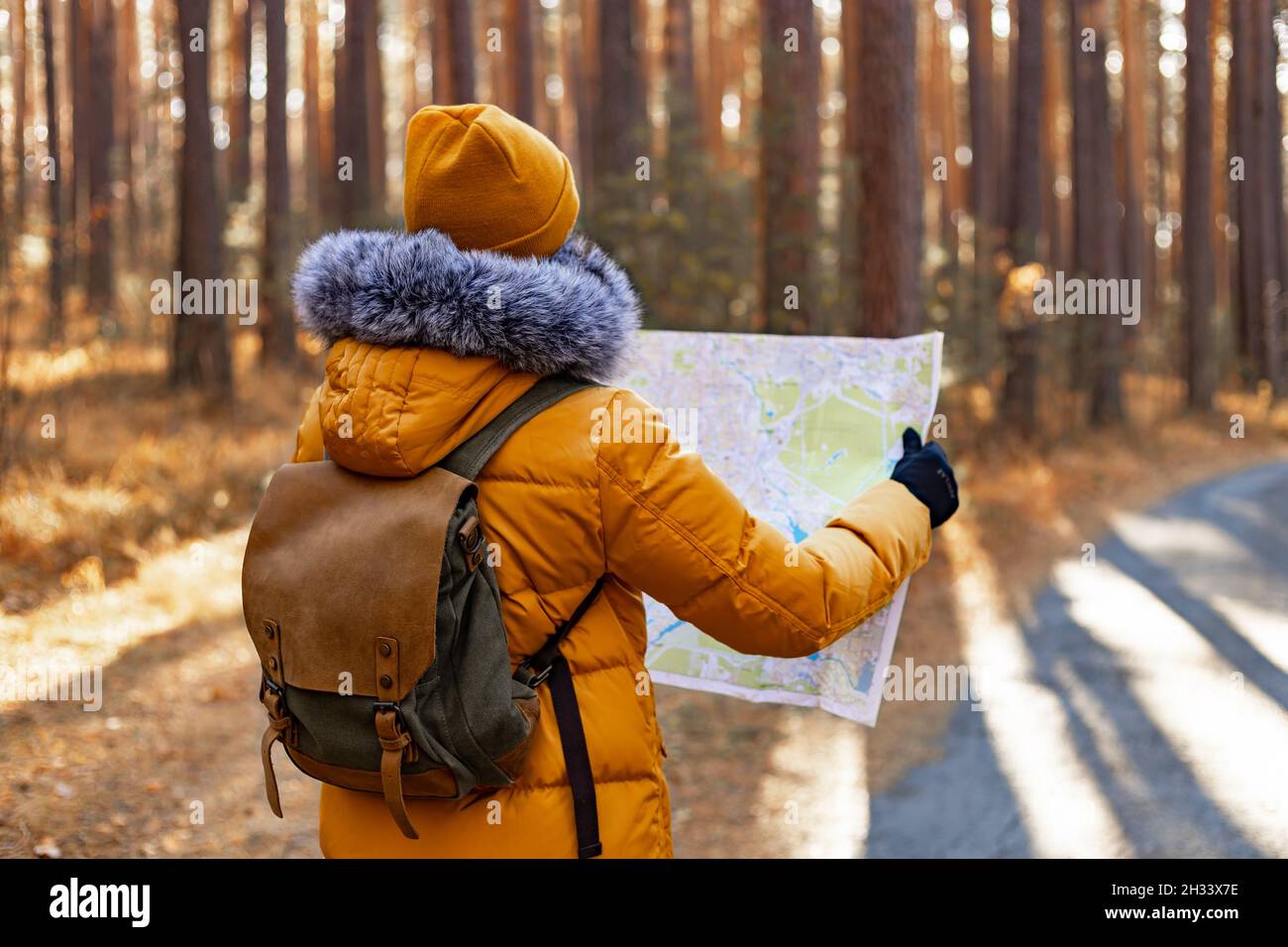 Jeune femme randonneur dans une veste chaude orange.Une femme marche dans un parc de pins d'automne avec un sac à dos.Elle regarde la carte qu'elle tient entre ses mains.Hik Banque D'Images