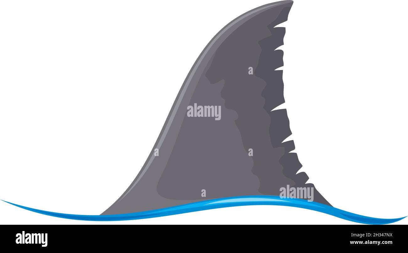 Illustration du vecteur d'ailerons de requin Illustration de Vecteur