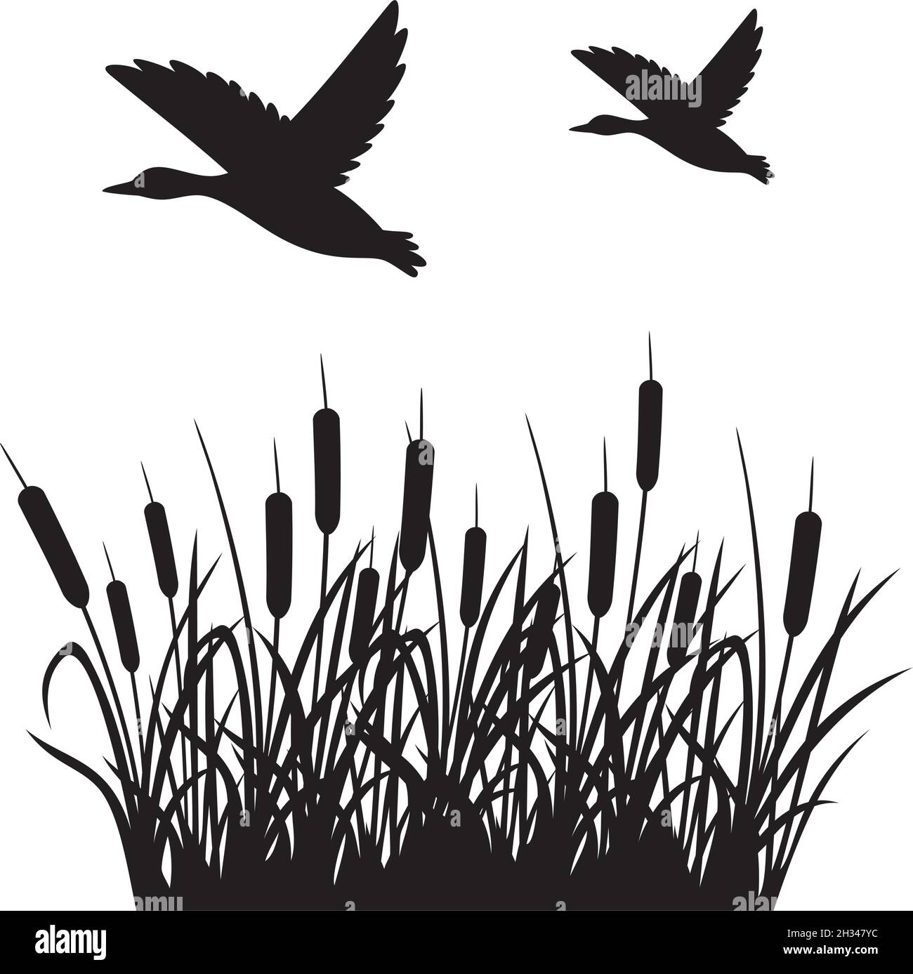 Illustration vectorielle de canard et de roseaux volants Illustration de Vecteur