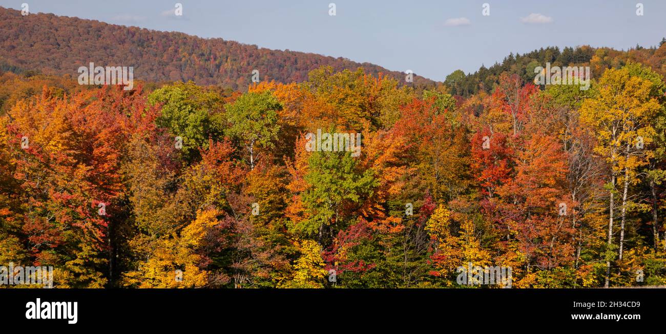 WARREN, VERMONT, États-Unis - feuillage d'automne, couleur d'automne dans la vallée de la rivière Mad. Banque D'Images