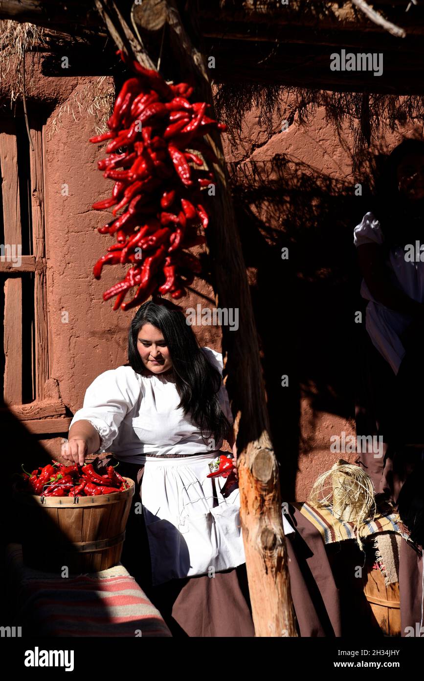 Une femme montre comment faire des rivestras traditionnels en accrochant des gousses de piment rouge au musée d'histoire vivante El Rancho de las Golondrinas du Nouveau-Mexique. Banque D'Images