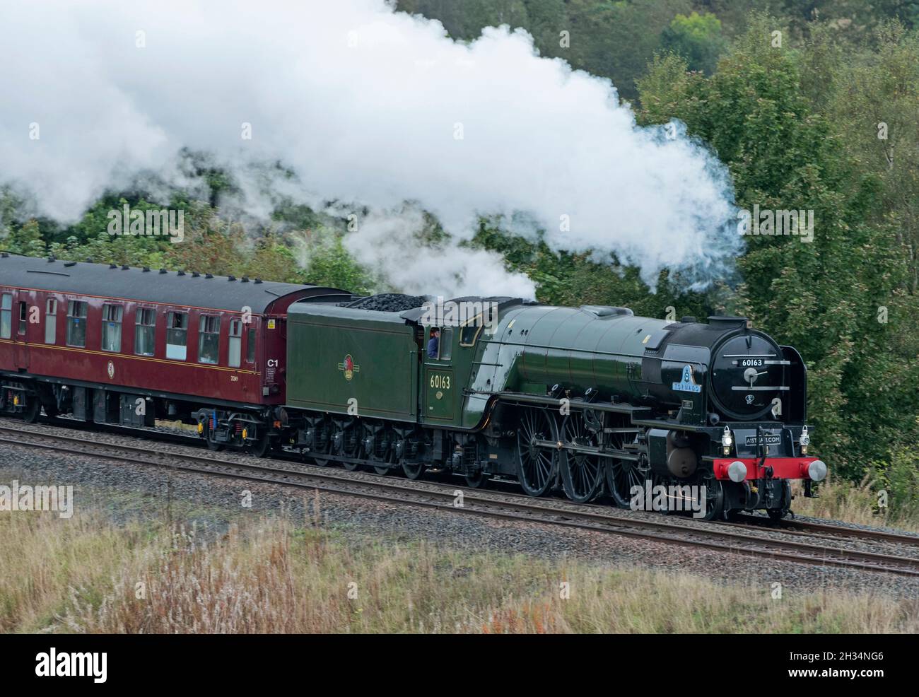 'The Ribblehead Rambler' transporté par la locomotive à vapeur Tornado 60163 de Carlisle à Hull au coin d'Armathwaite sur la ligne de règlement Banque D'Images