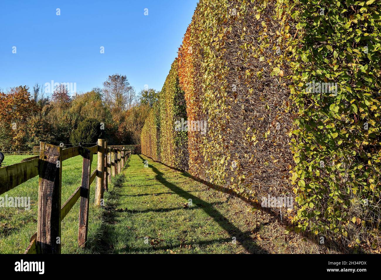 Parc paysagé avec jeux d'arcade de charme.Vue extérieure Banque D'Images