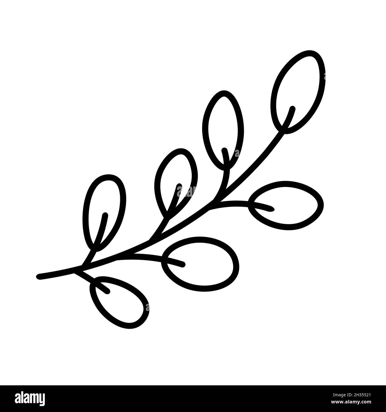 Dessins dessinés à la main de plantes, de branches et de feuilles.Illustration vectorielle de style doodle isolée sur fond blanc.Élément à motif fleuri pour Illustration de Vecteur