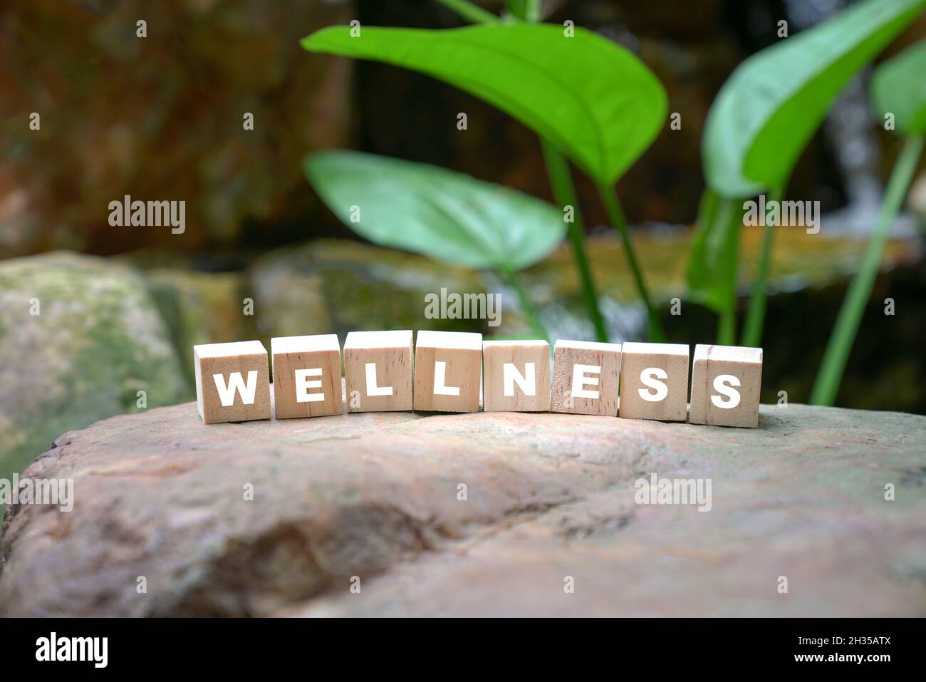 Panneau de bien-être sur des cubes en bois, entouré de pierres et de plantes vertes. Banque D'Images