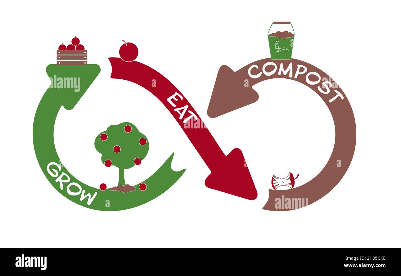 Alimentation durable économie circulaire, cultiver, manger, compost, flèche à l'infini,arrêter le concept de gaspillage alimentaire Banque D'Images