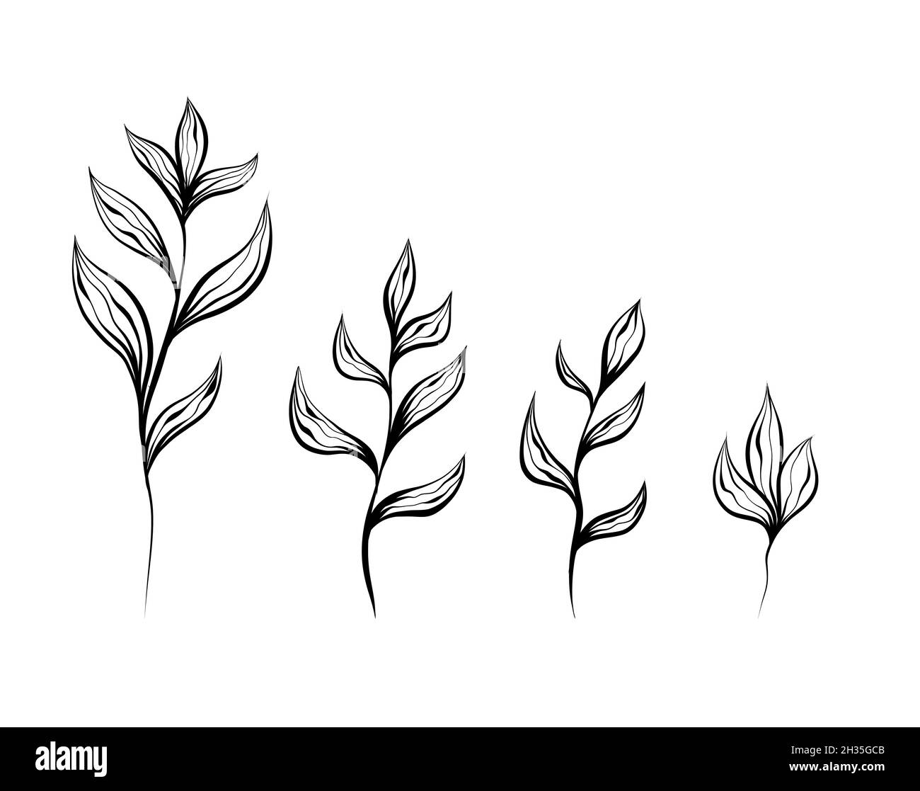 Ensemble monochrome naturel de croquis de plantes et de tiges avec feuillage sur fond blanc.Image vectorielle de plantes avec branche avec feuilles isolées Illustration de Vecteur