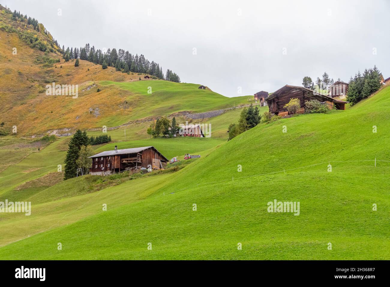 Paysage idyllique autour de Warth, une municipalité dans le quartier de Bregenz dans l'état autrichien du Vorarlberg Banque D'Images