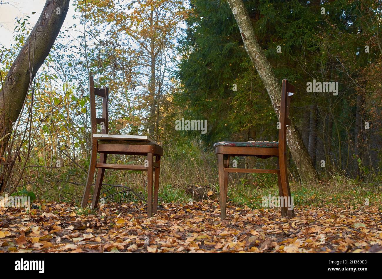 Deux vieilles chaises en bois se tiennent en face l'une de l'autre dans une clairière dans la forêt Banque D'Images