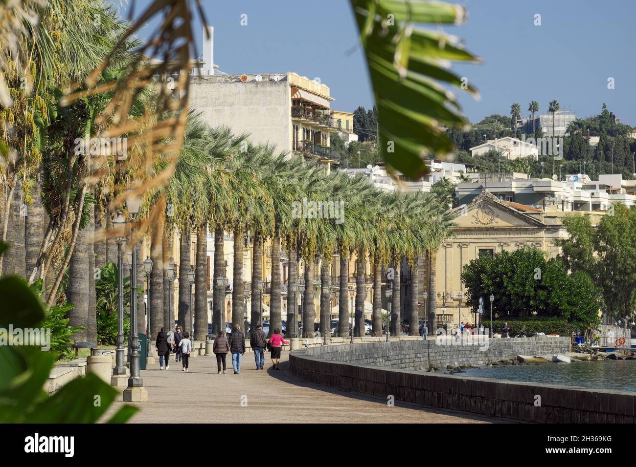 Rue bordée d'arbres dans le front de mer de Sicile avec palmiers de la ville de Milazzo Banque D'Images