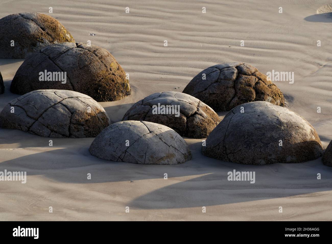 Moeraki Boulders, un point fort touristique près du village de Moeraki, région d'Otago, sur la côte sud-est de la Nouvelle-Zélande de l'île du Sud. Banque D'Images