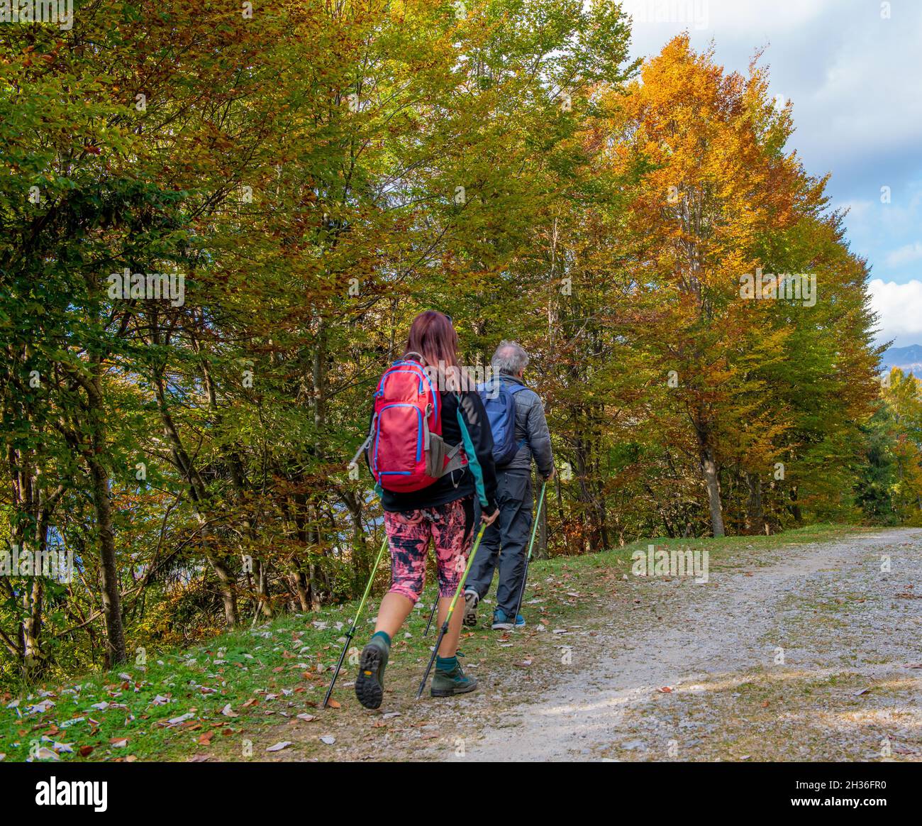 promenez-vous au milieu de la nature Banque D'Images
