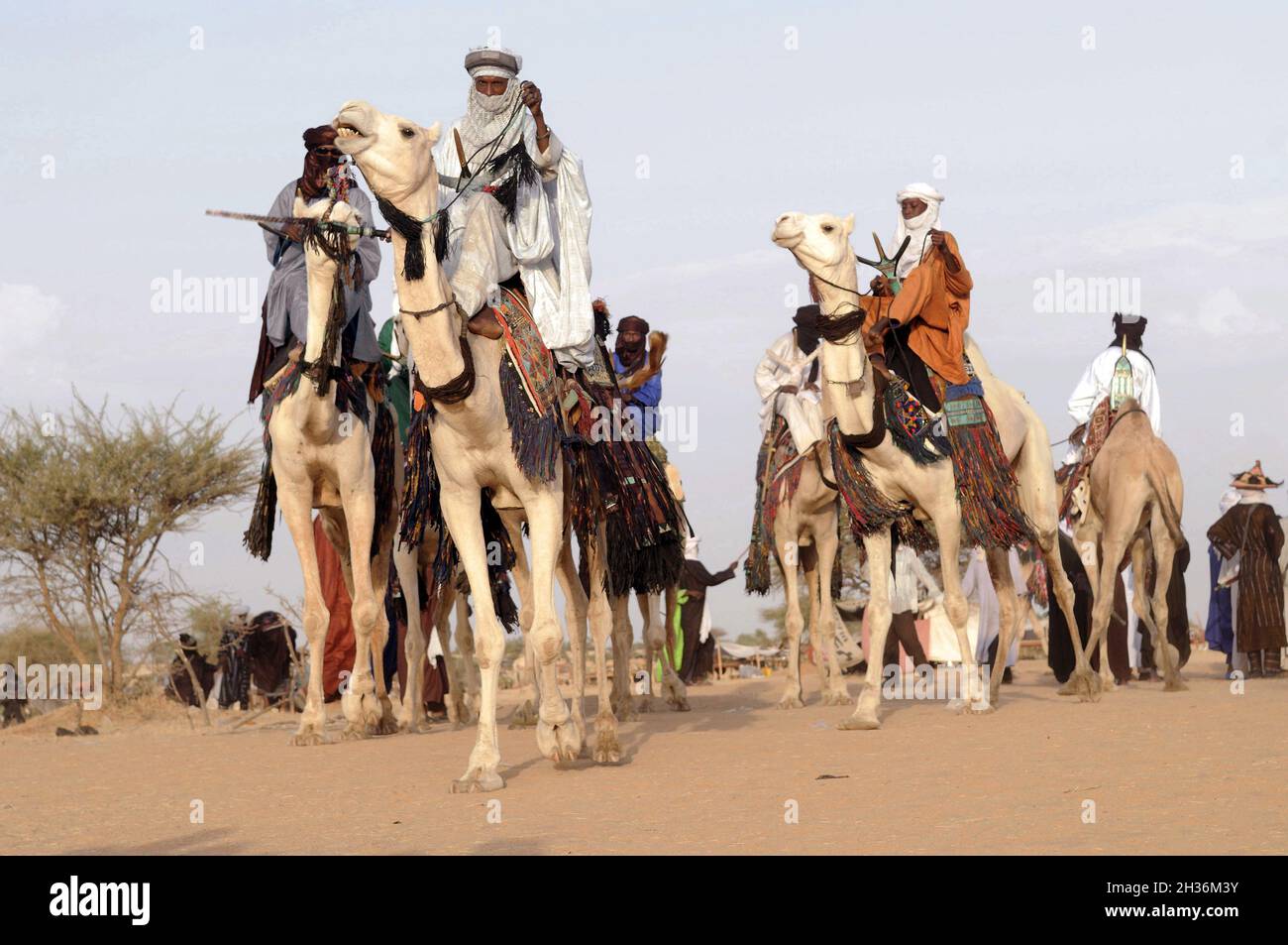 NIGER.TAGAYET.LE WODAABE OU BORORO SONT UN PETIT SOUS-GROUPE DU GROUPE ETHNIQUE FULANI Banque D'Images