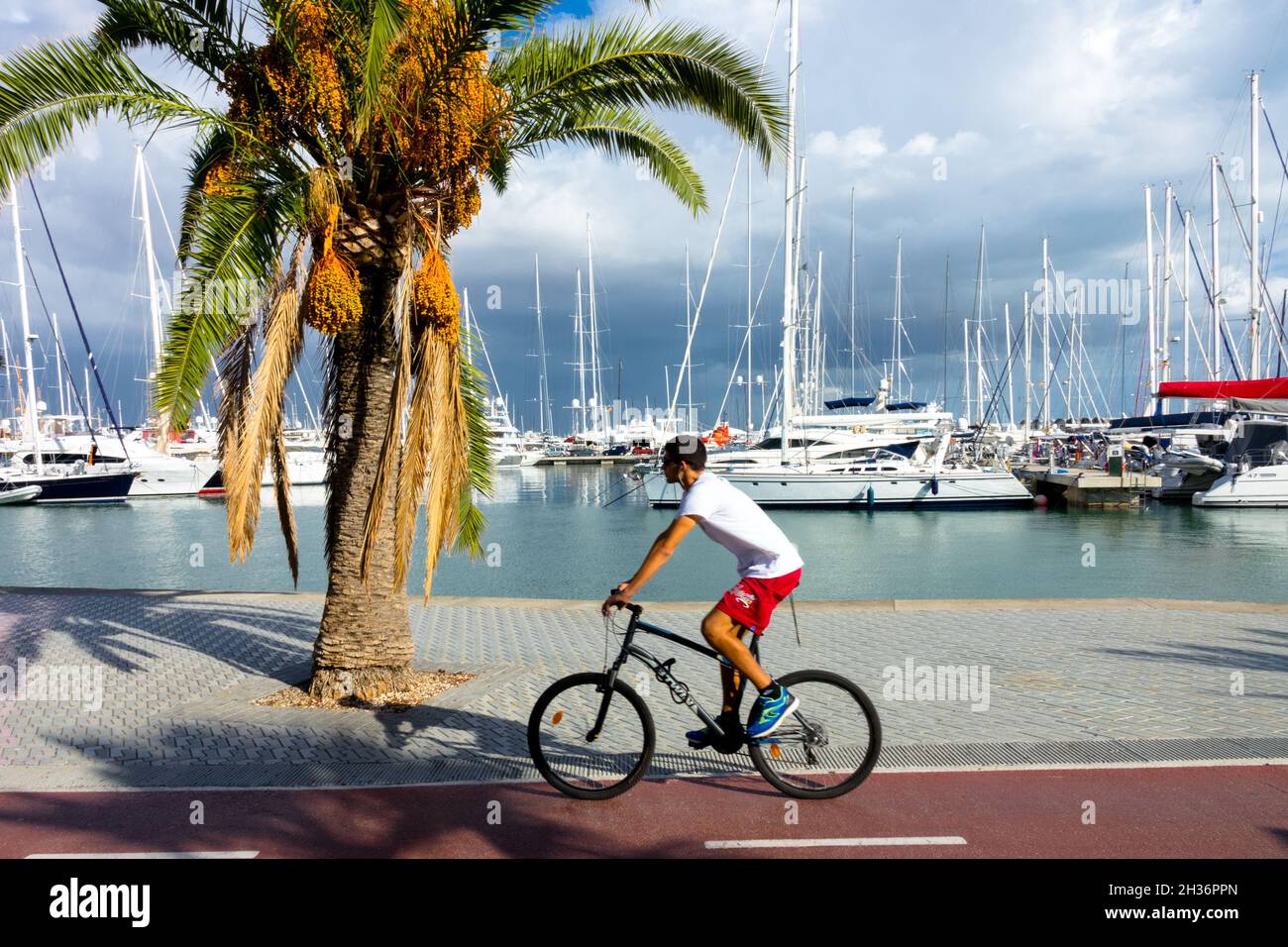 Port de Palma de Mallorca, l'homme à vélo Espagne yachts amarrés dans port de plaisance Banque D'Images