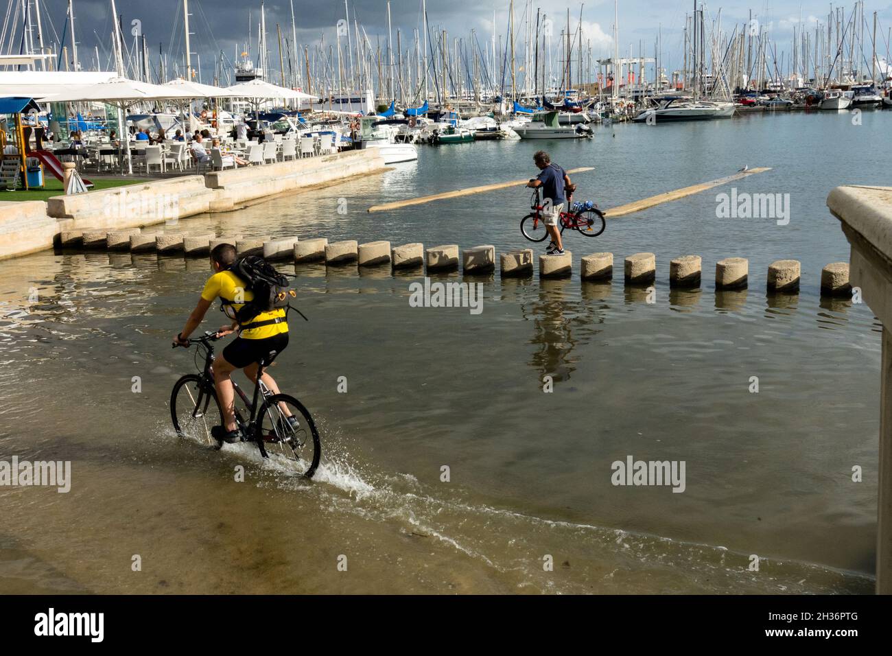 Biker dans le port de Palma de Mallorca piste cyclable à travers l'eau Espagne Banque D'Images