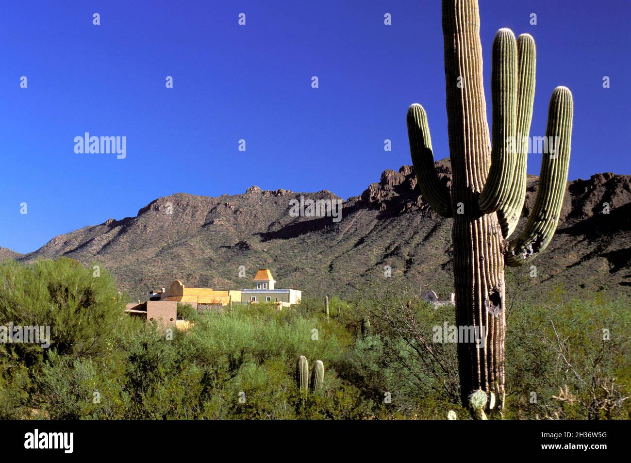 ÉTATS-UNIS, ARIZONA, TUCSON .VUE SUR LES ANCIENS STUDIOS DE TUCSON Banque D'Images