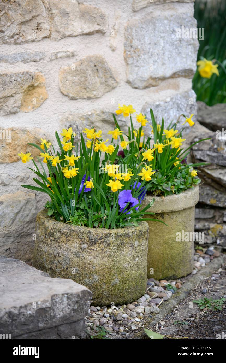 Jardinières de pierre avec fleurs de printemps. Banque D'Images