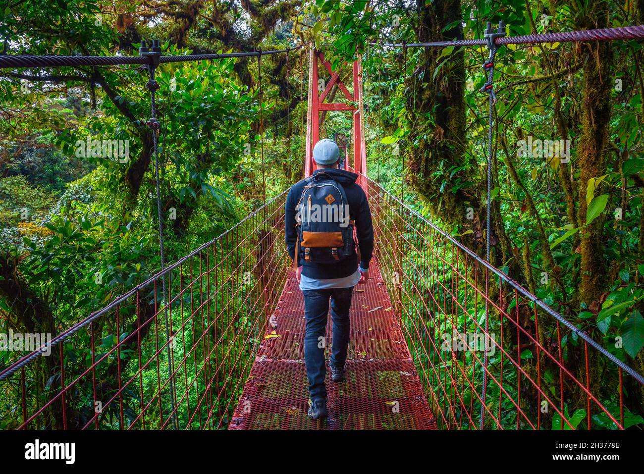 Promenade touristique sur un pont suspendu dans la forêt de nuages de Monteverde, Costa Rica Banque D'Images