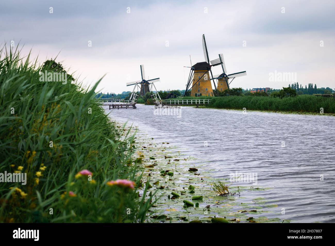 Moulins à vent historiques et rivière qui coule à Kinderdijk, pays-Bas Banque D'Images