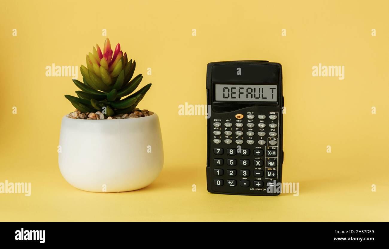 Terme métier, expression métier sur l'affichage de la calculatrice, expression est le risque par défaut.Sur fond jaune cactus Banque D'Images