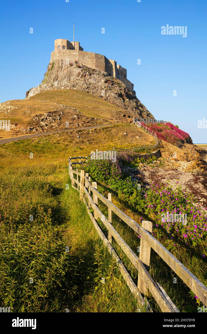 Château de Lindisfarne sur une falaise Île de Lindisfarne Île Sainte Lindisfarne Northumberland Angleterre GB Europe Banque D'Images