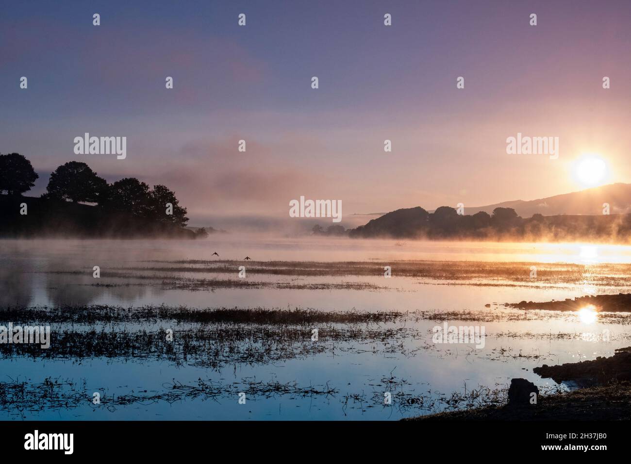 Magnifique coucher de soleil dans le paysage des marais. Banque D'Images