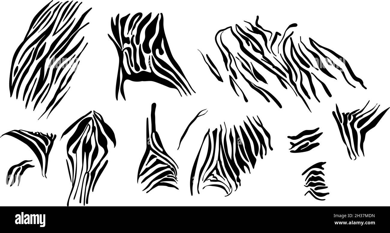 Motif zébré noir blanc.Texture monochrome des bandes de peaux d'animaux de savane. Illustration de Vecteur