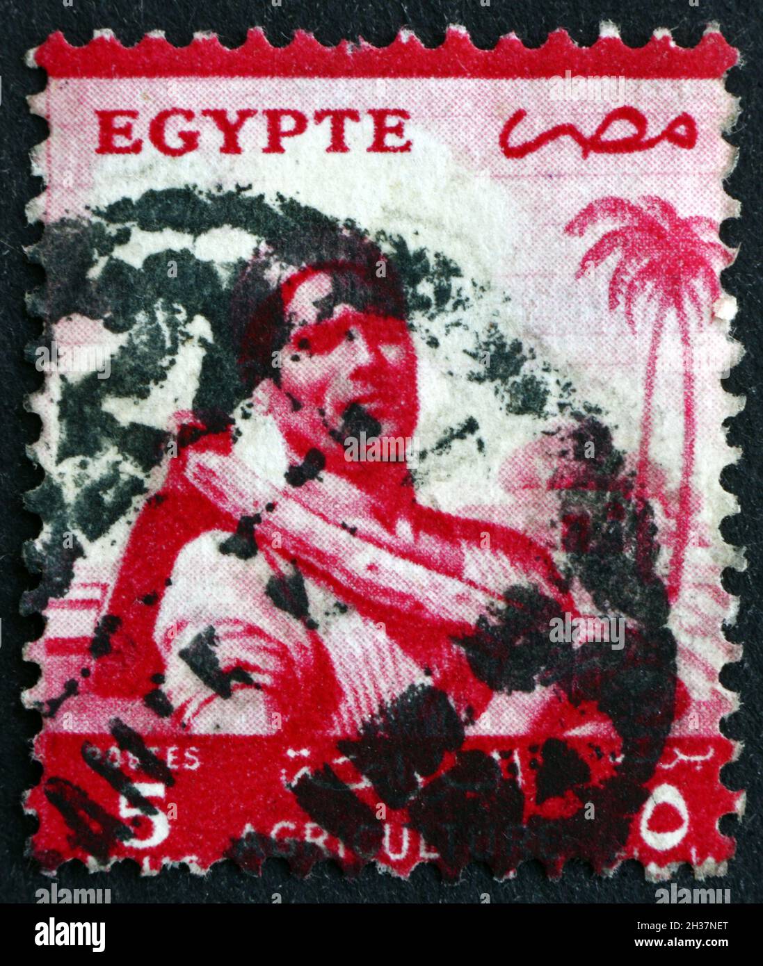 ÉGYPTE - VERS 1955 : un timbre imprimé en Égypte montre Farmer, Agriculture, vers 1955 Banque D'Images