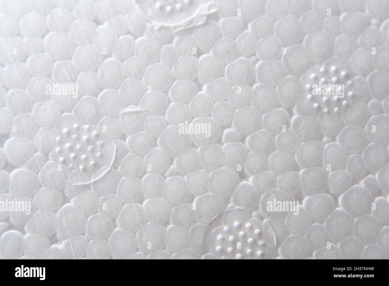 Texture en gros plan de la mousse de polystyrène expansée Banque D'Images