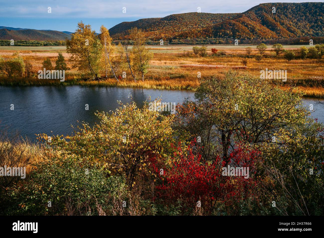 Rivière au début de l'automne, feuilles rouges, jaunes, orange et vertes Banque D'Images