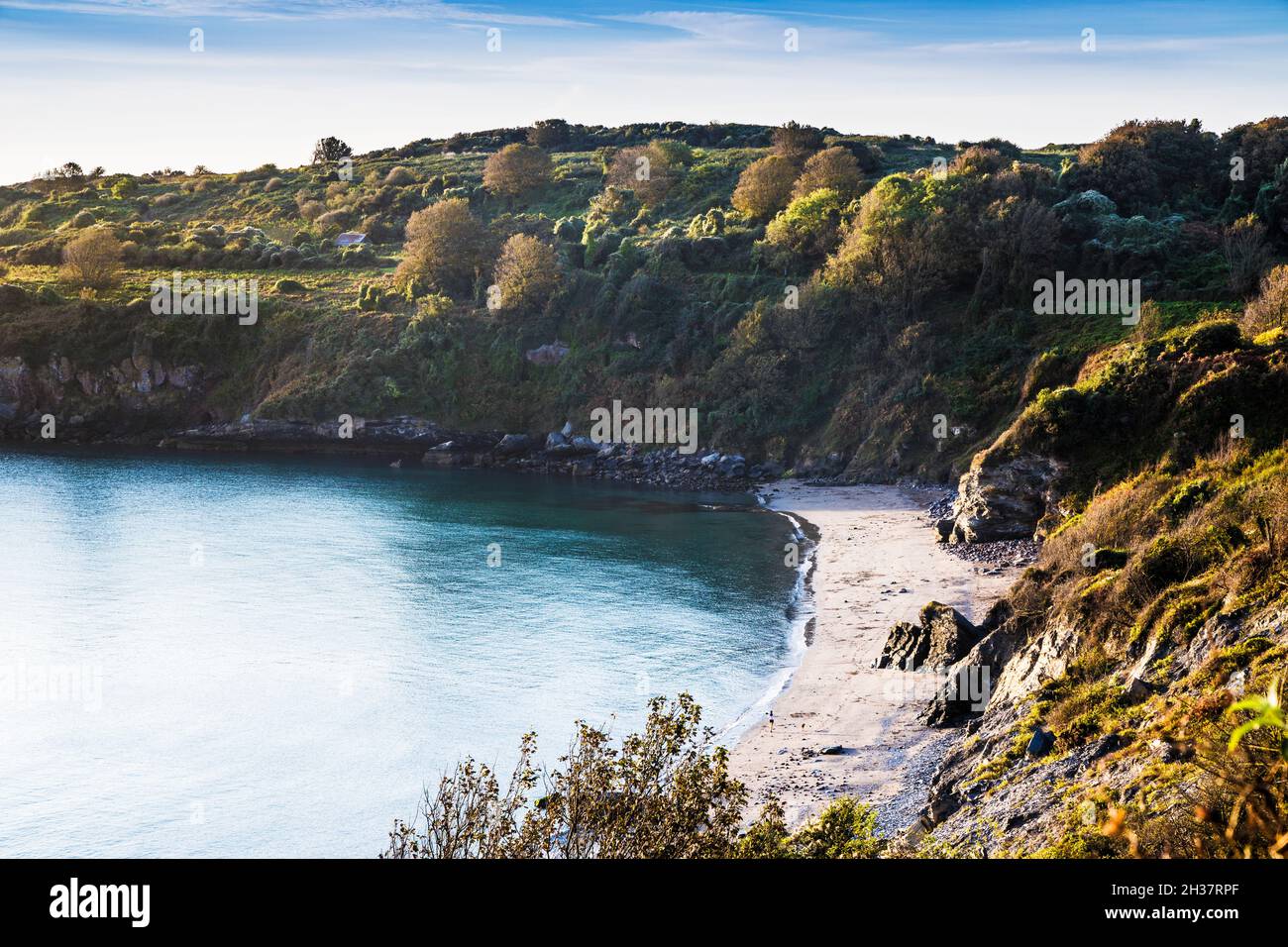 Un jogger et son chien dans la lumière tôt le matin à la baie St. Mary's dans le sud du Devon. Banque D'Images