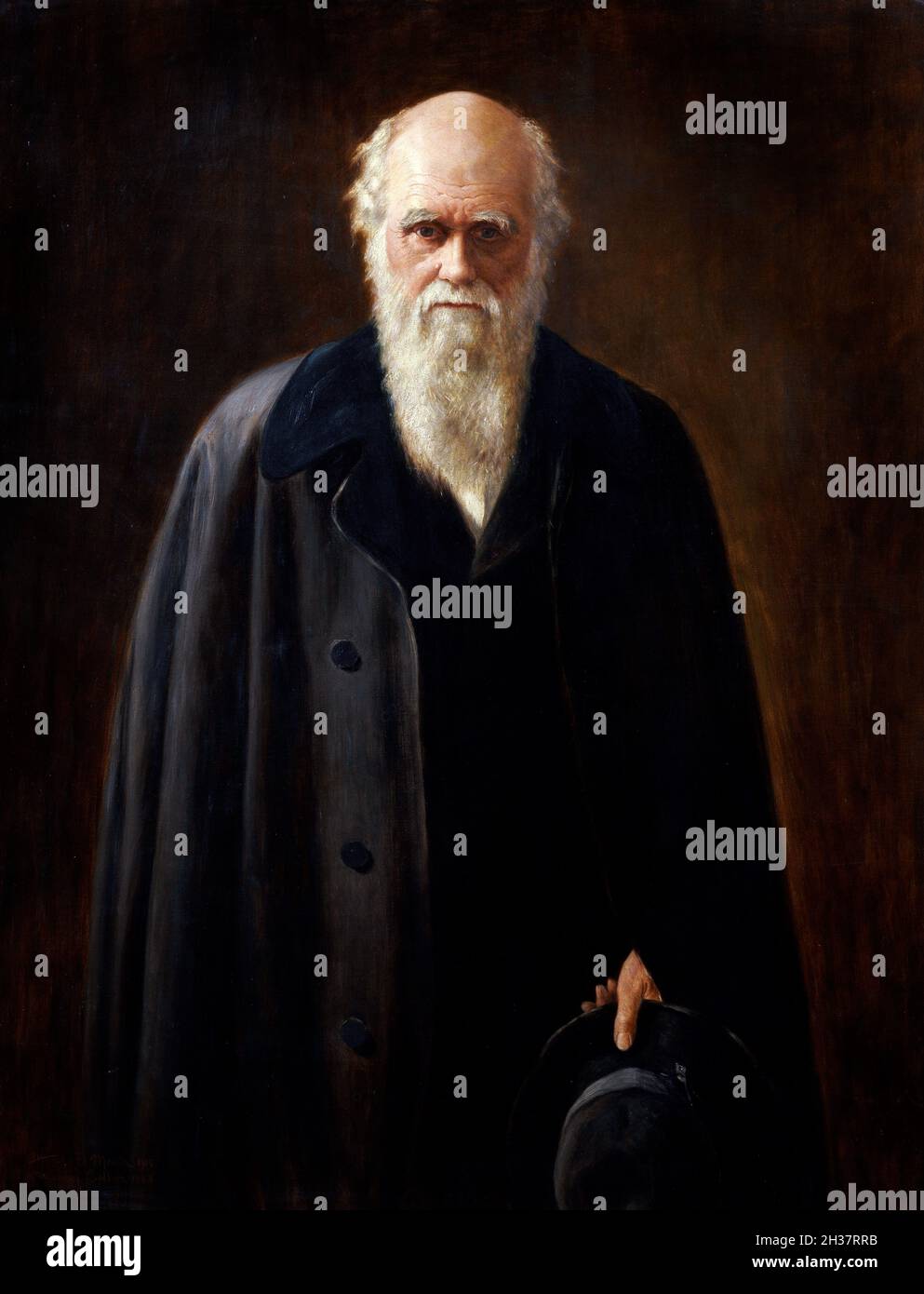 Charles Darwin.Portrait du naturaliste anglais Charles Darwin (1809-1882) par Mabel Beatrice Messer, oi sur toile, 1912.La peinture est une copie d'une oeuvre de John collier Banque D'Images