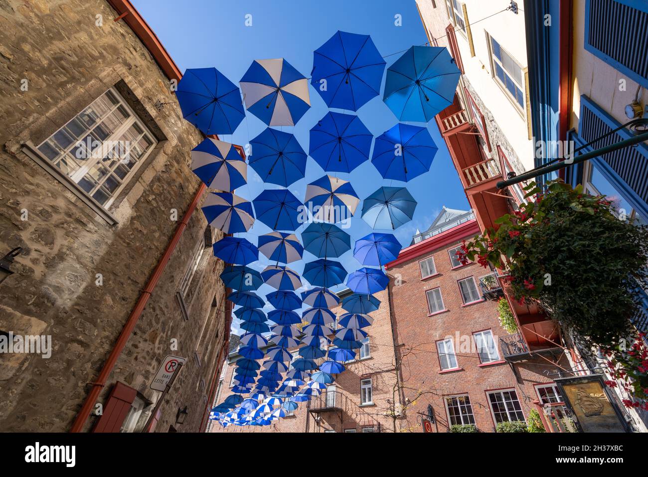 Allée parapluie.Vue sur la rue de la vieille ville de Québec en automne ensoleillé.Canada. Banque D'Images