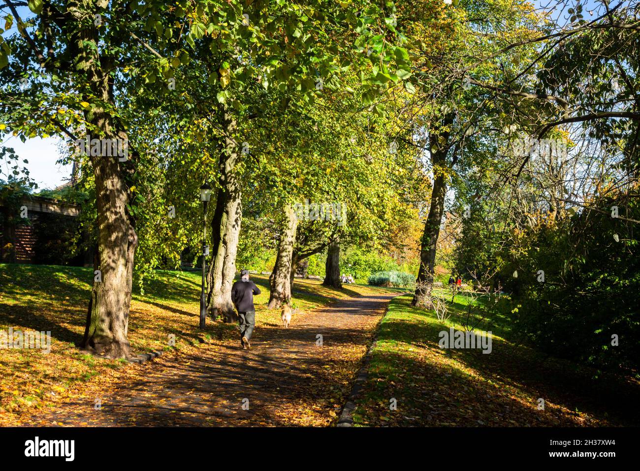 Valley Gardens Park, Harrogate, Royaume-Uni en automne.2021 Banque D'Images