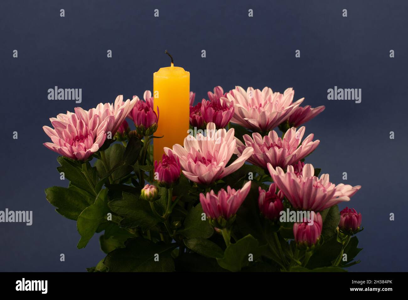 Composition De Fleurs Et Bougie Pour Toutes Les Ames Jour Convient Egalement Aux Funerailles Au Deuil Au Deuil Photo Stock Alamy