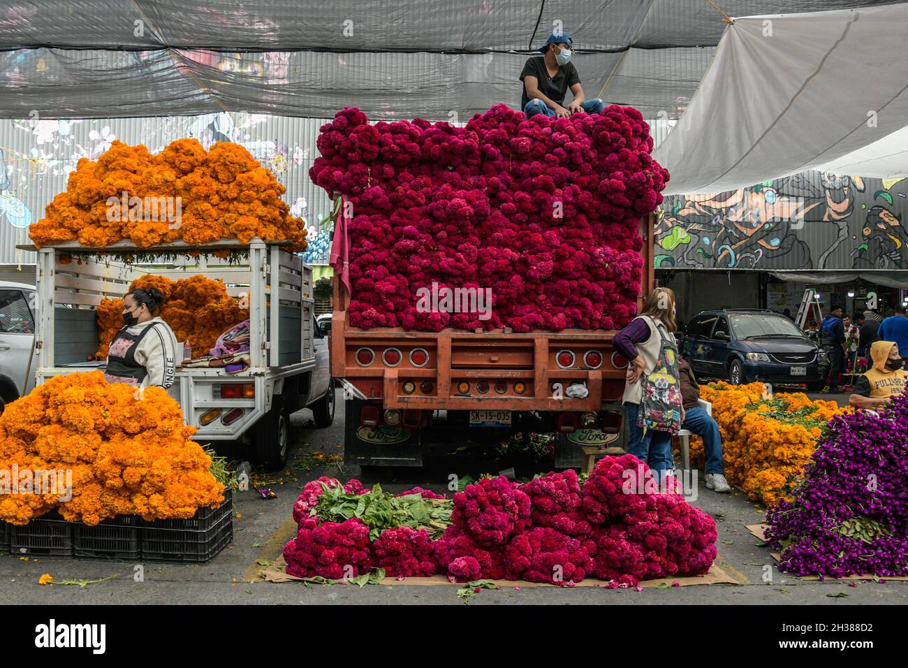Non exclusif: MEXICO, MEXIQUE - 26 OCTOBRE 2021: Personnes achetant cempasuchil fleur et fleur de velours, dans le marché de plein air de la Jamaïque, traditionnel Banque D'Images