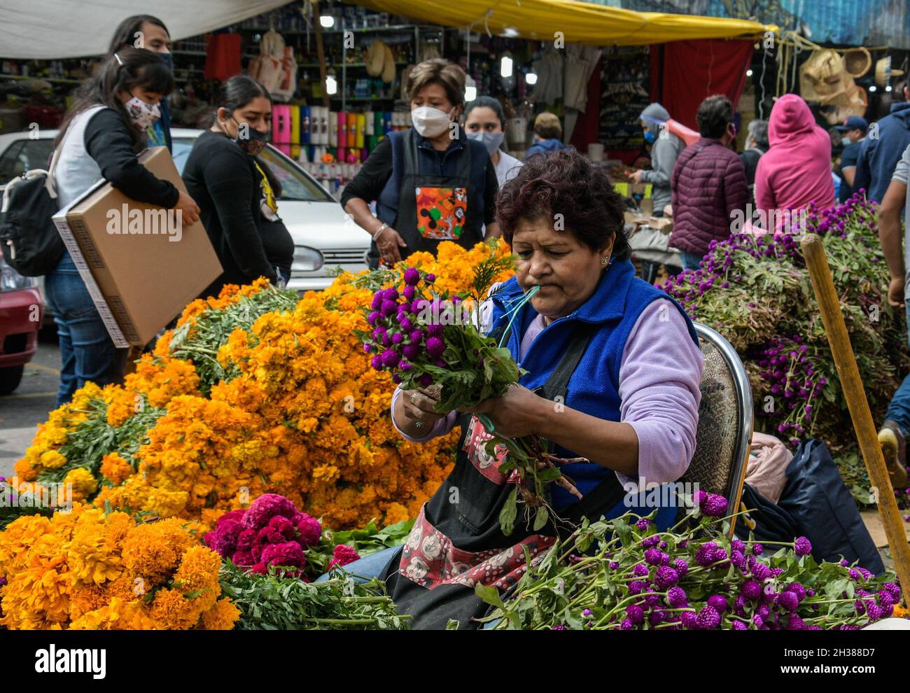Non exclusif: MEXICO, MEXIQUE - 26 OCTOBRE 2021: Personnes achetant cempasuchil fleur et fleur de velours, dans le marché de plein air de la Jamaïque, traditionnel Banque D'Images