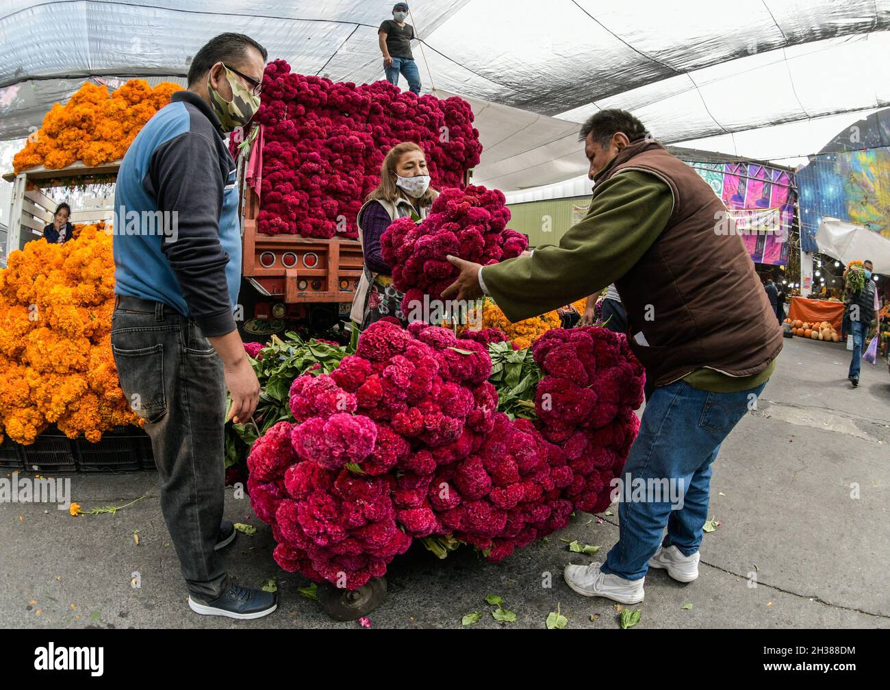 Non exclusif: MEXICO, MEXIQUE - 26 OCTOBRE 2021: Personnes achetant cempasuchil fleur et fleur de velours, dans le marché de plein air de la Jamaïque, traditionnel Banque D'Images