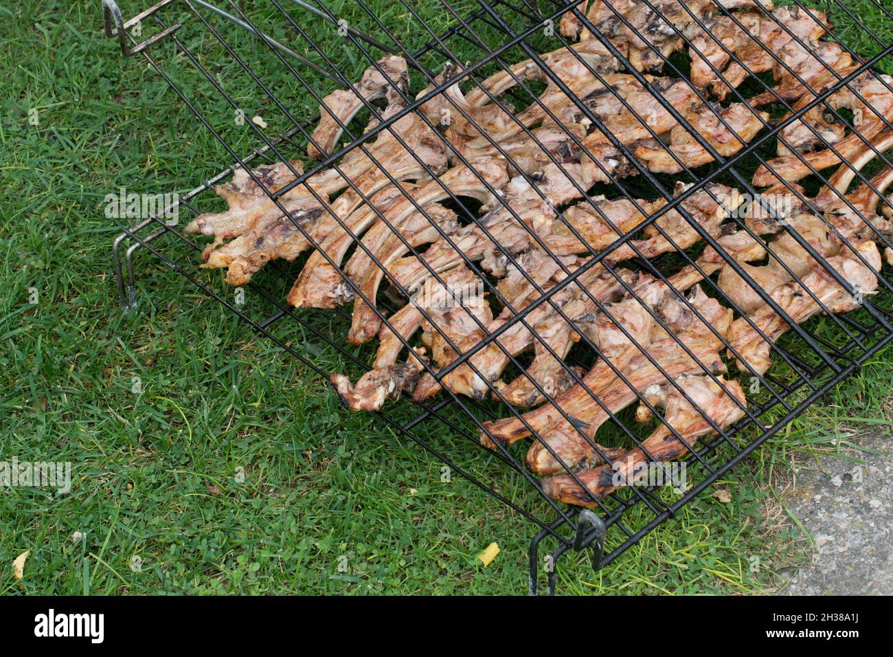 Gros plan de délicieux côtelettes d'agneau dans une grille de cuisson.Prêt à manger.Arrière-plan vert Banque D'Images