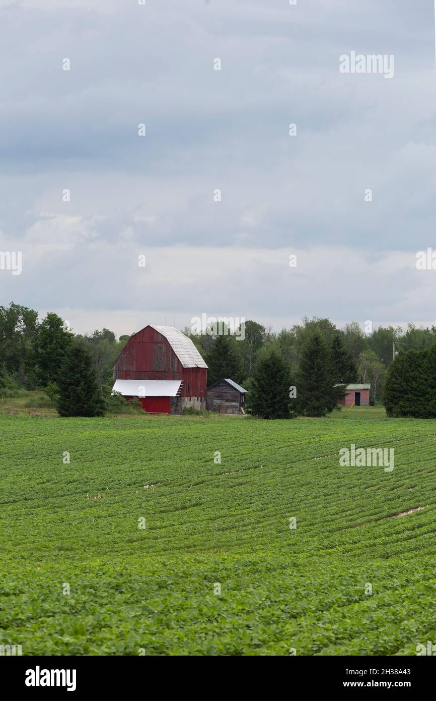 Paysage rural avec Barn Banque D'Images