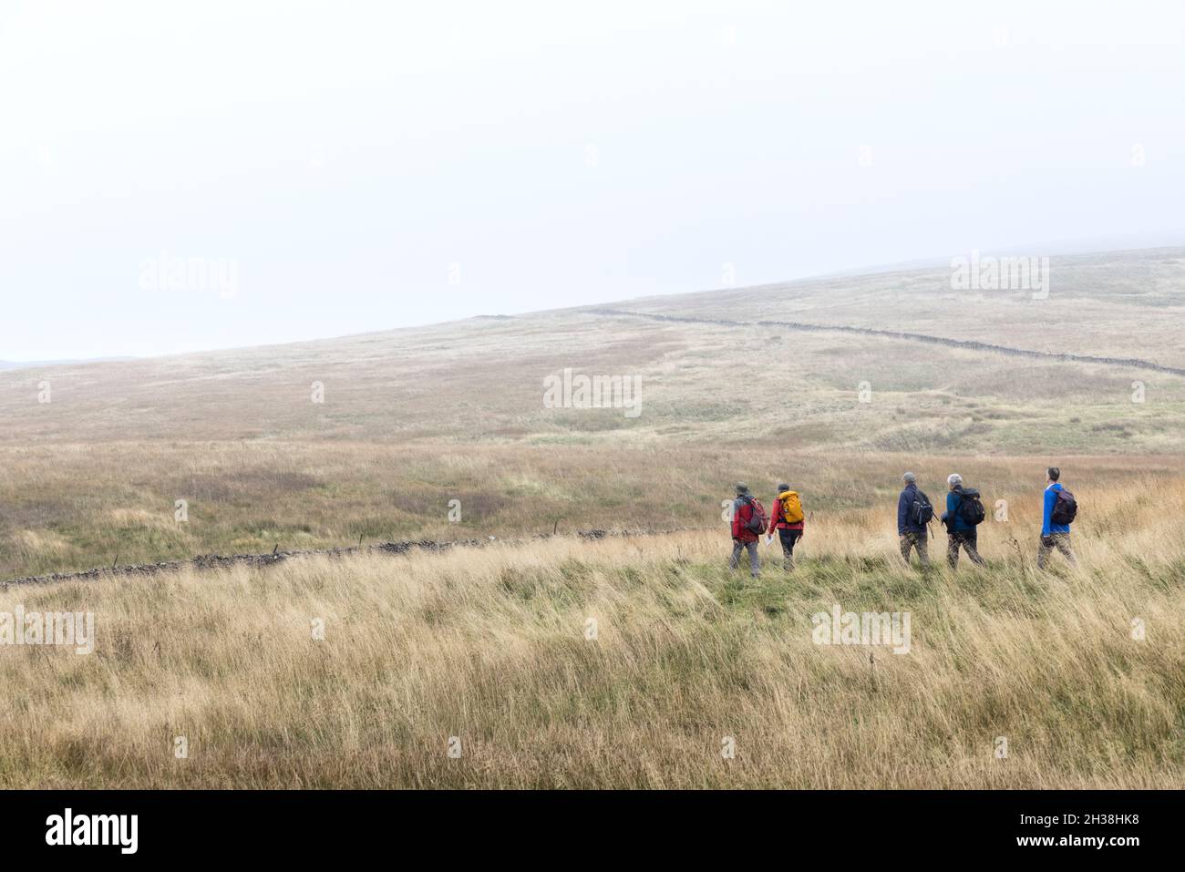 Groupe marchant à travers la lande dans les nuages bas et la pluie, Gorbeck byway, Langcliffe, Yorkshire Dales, Royaume-Uni Banque D'Images
