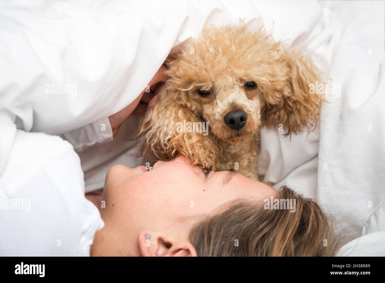 Le chien le matin au lit joue avec la maîtresse de la fille Banque D'Images