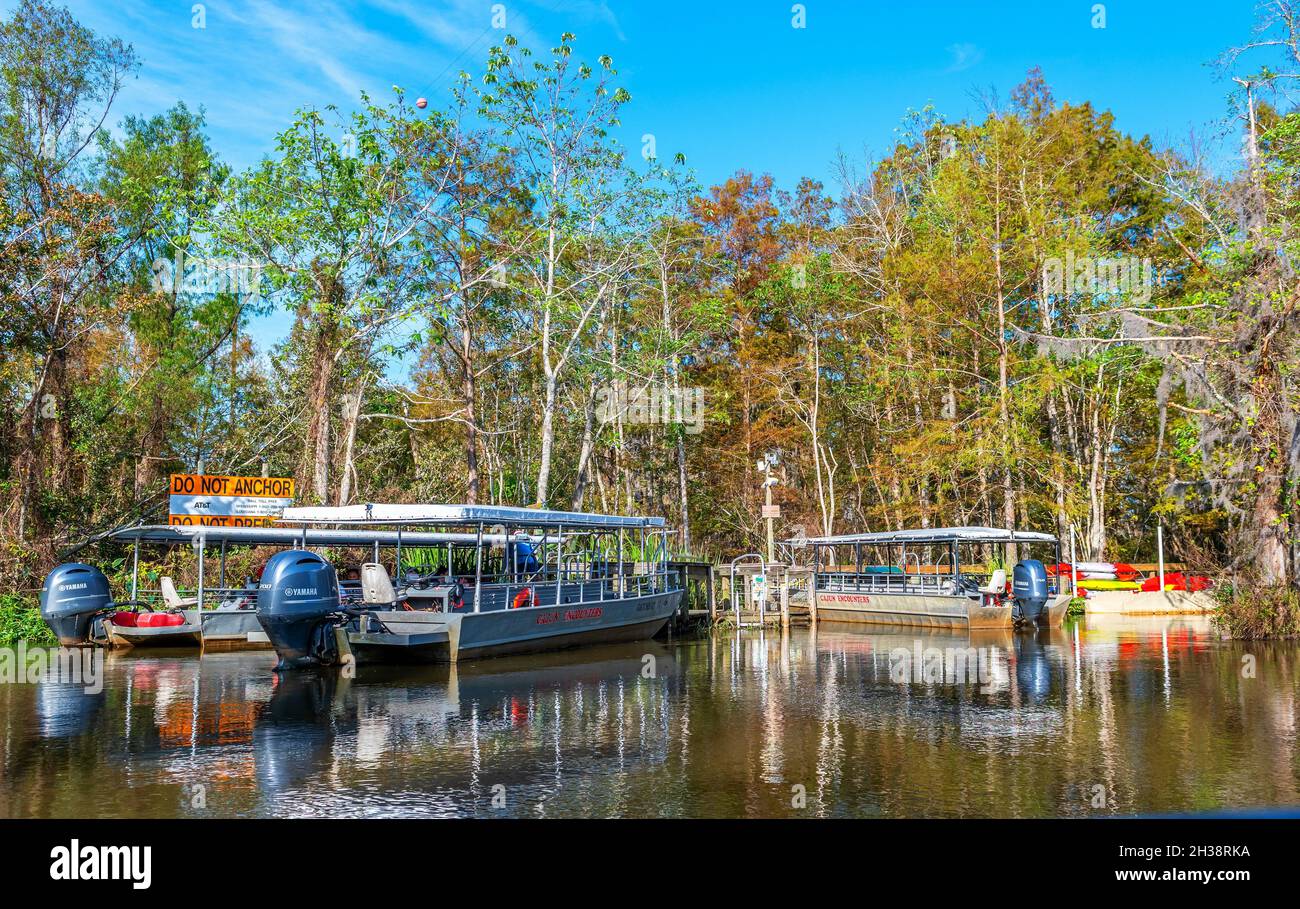 Louisiana Swamp Tour bateaux amarrés à Cajun rencontres Tour Company dans le marais de Honey Island, St. Tammany Parish, États-Unis. Banque D'Images