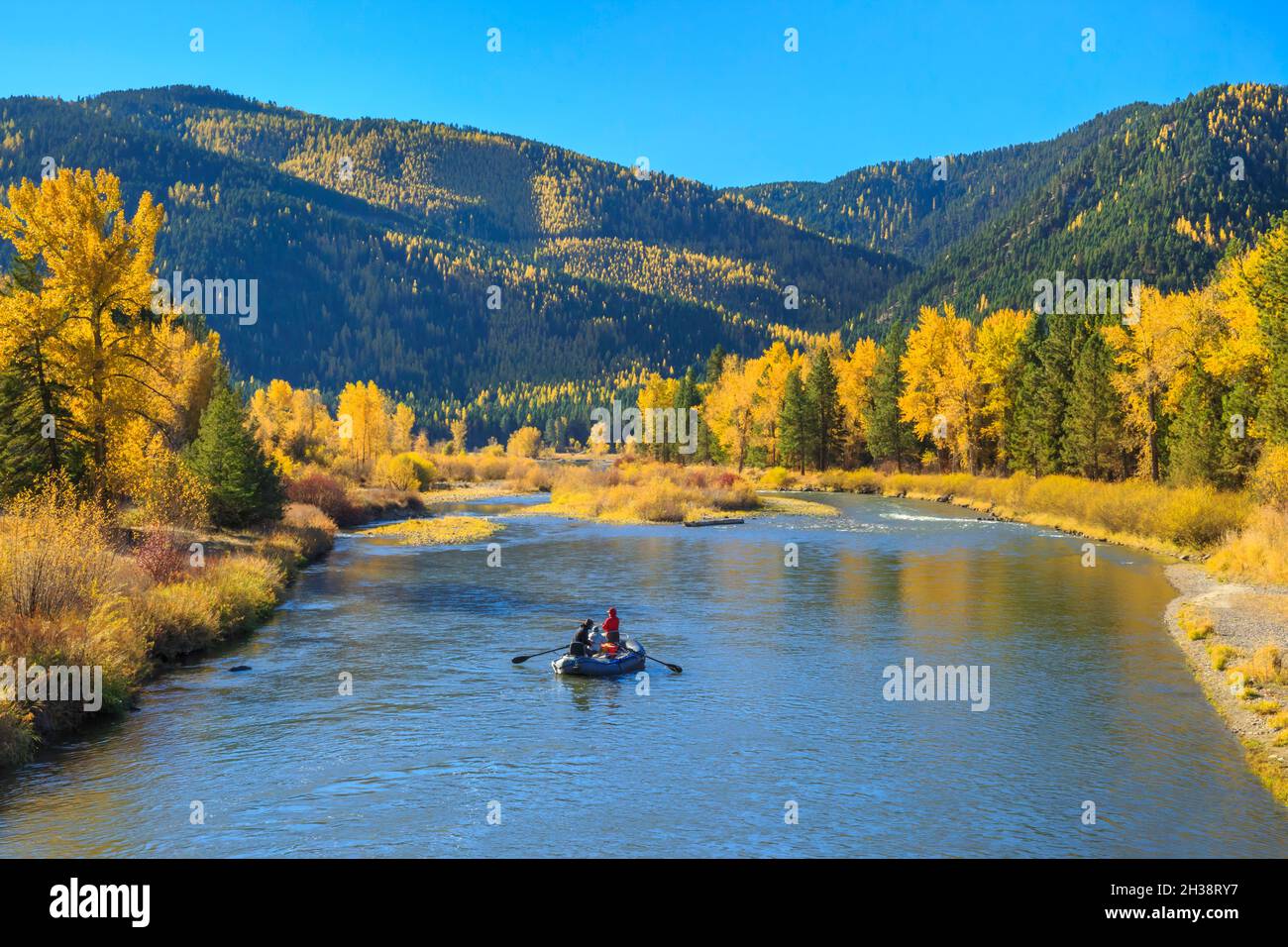 rafles et couleurs d'automne le long de la rivière clark fork dans le parc régional beavertail hill près de clinton, montana Banque D'Images