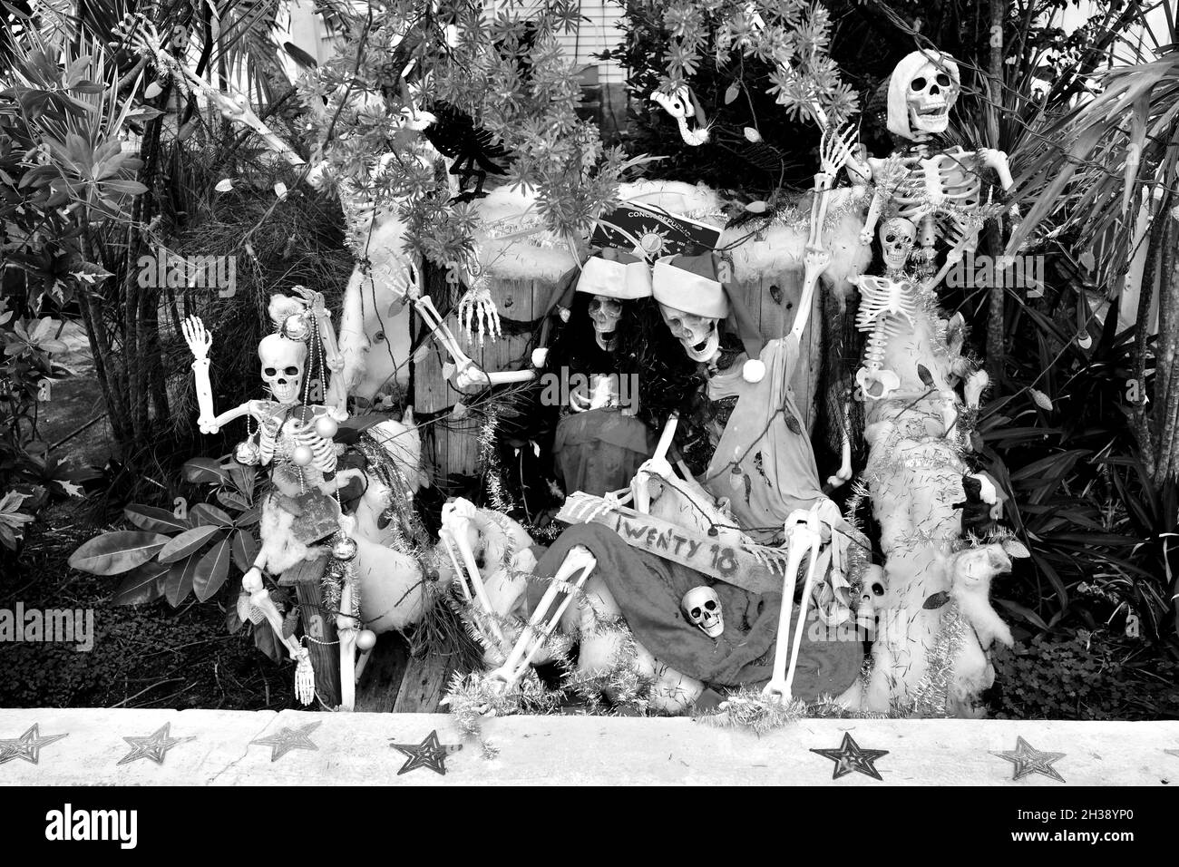 Exposition de Noël des squelettes célébrant à Key West, FL, États-Unis.Très graphique, couleurs saturées, photographie horizontale. Banque D'Images