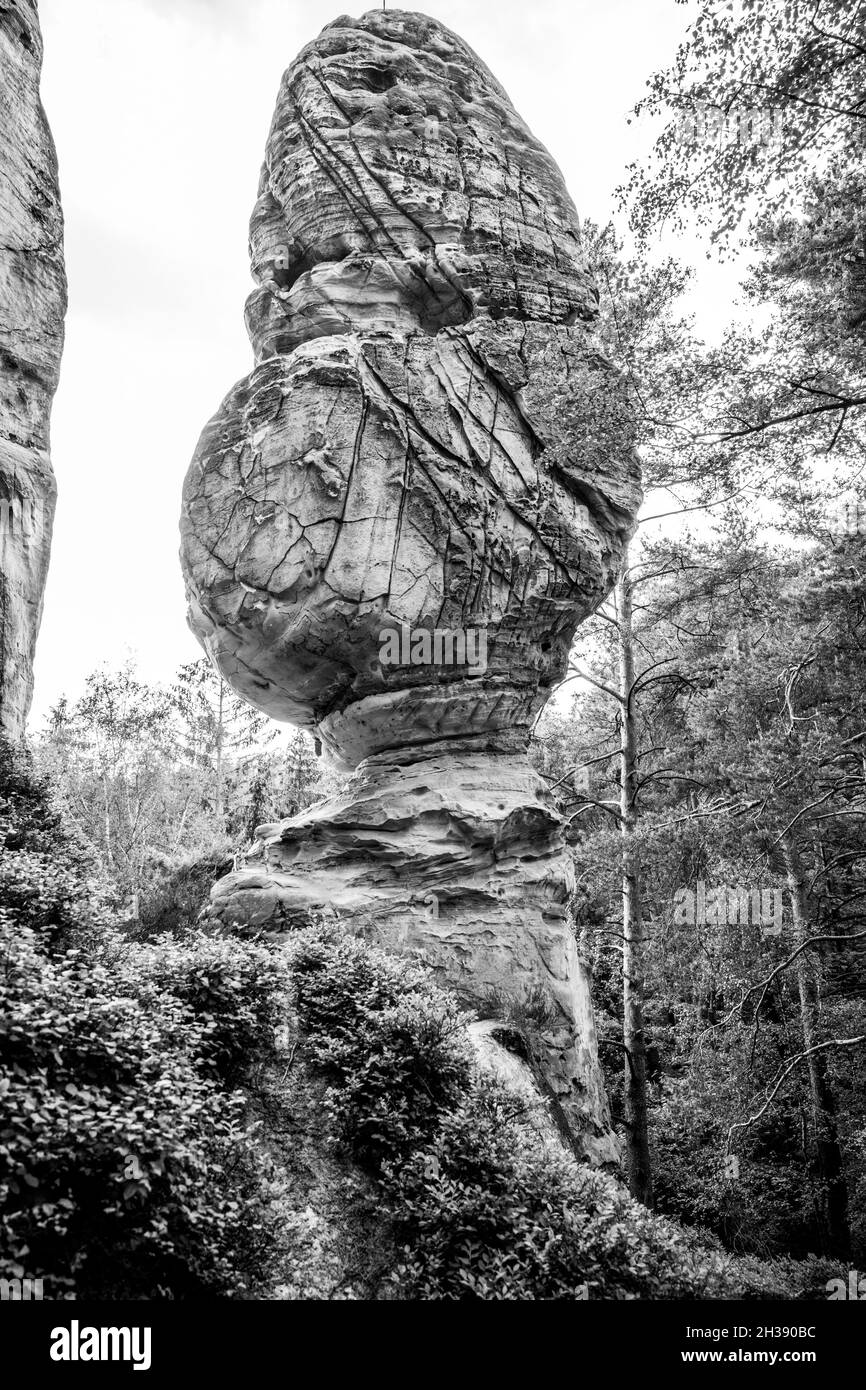 Formation unique de champignons de grès Banque D'Images