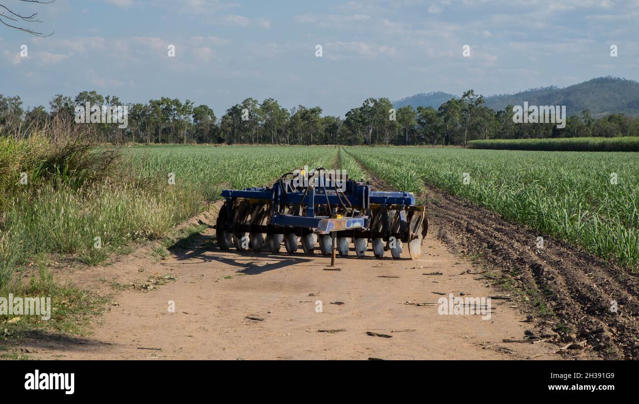 Terres agricoles près de Mirani, Queensland Banque D'Images