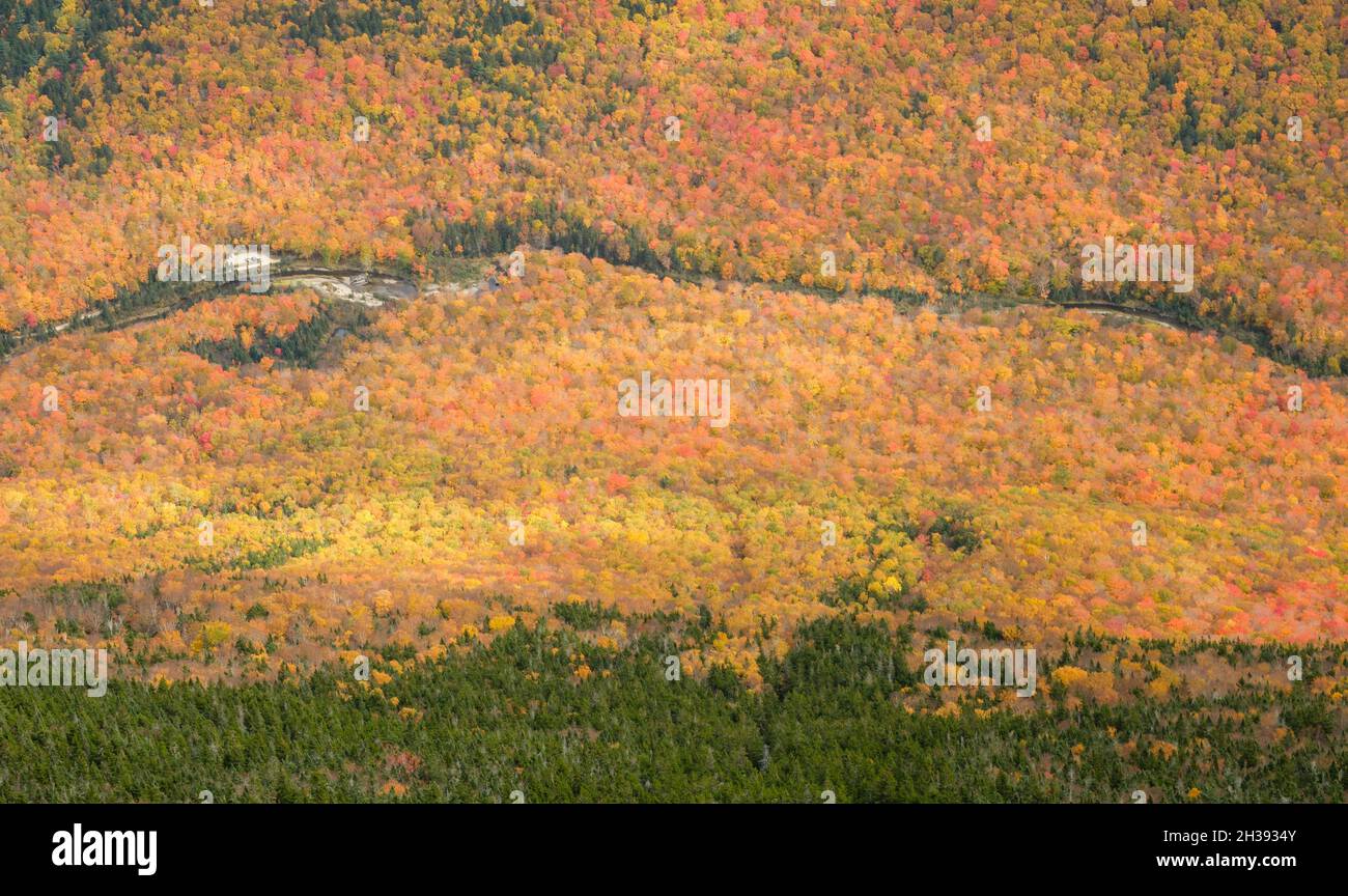 Vue sur le ruisseau Nesowadnehunk depuis la montagne Doubletop, le parc national de Baxter, Maine Banque D'Images