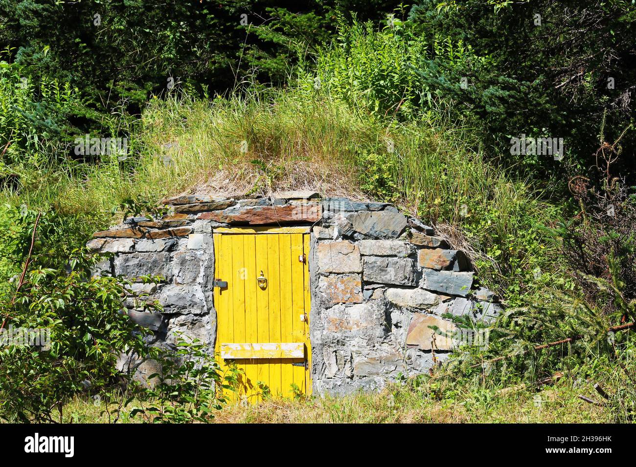 Une ancienne cave à racines avec une porte jaune, Elliston, Terre-Neuve-et-Labrador Banque D'Images