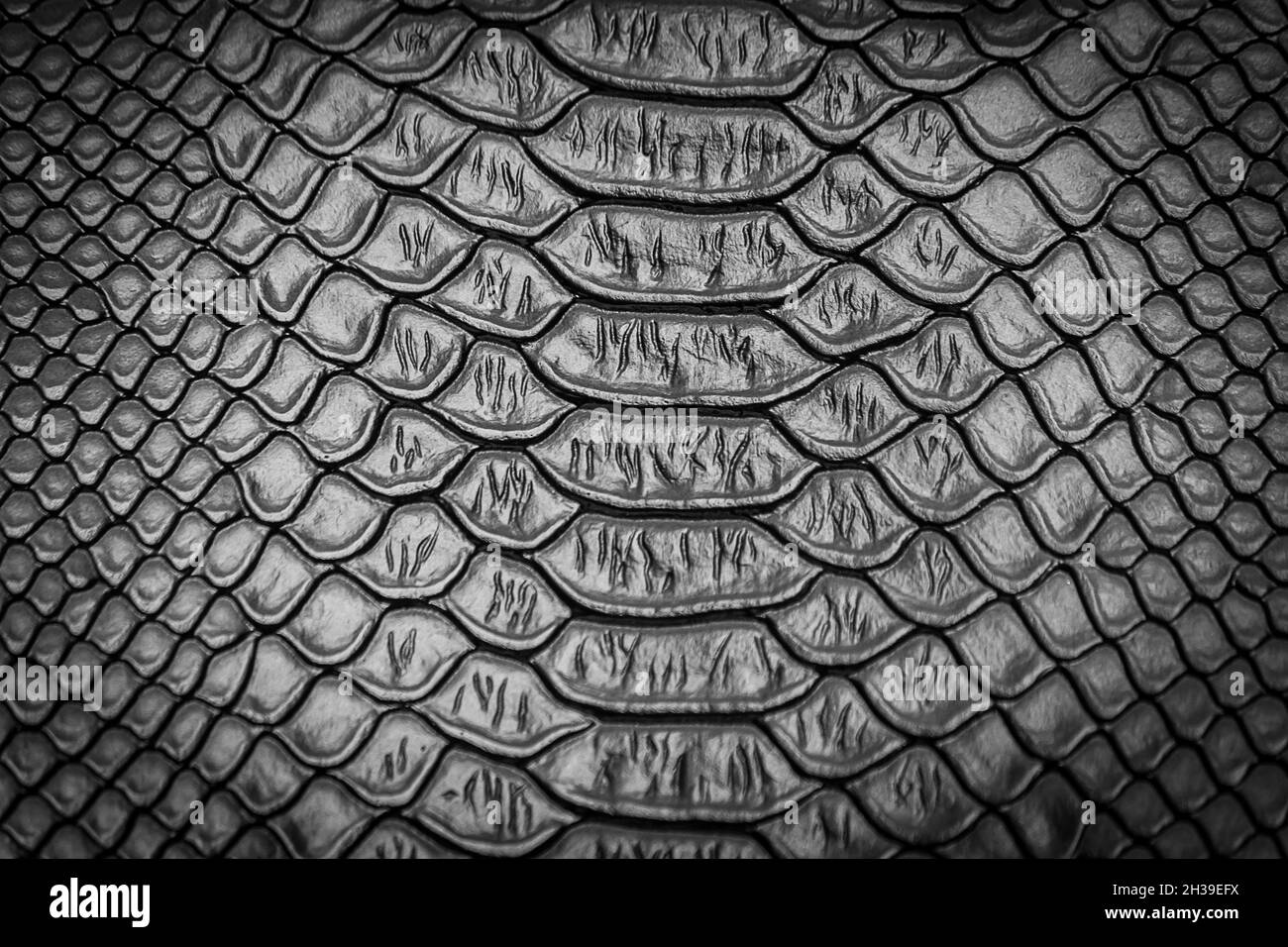gros plan de la texture de peau de serpent pour l'arrière-plan Banque D'Images